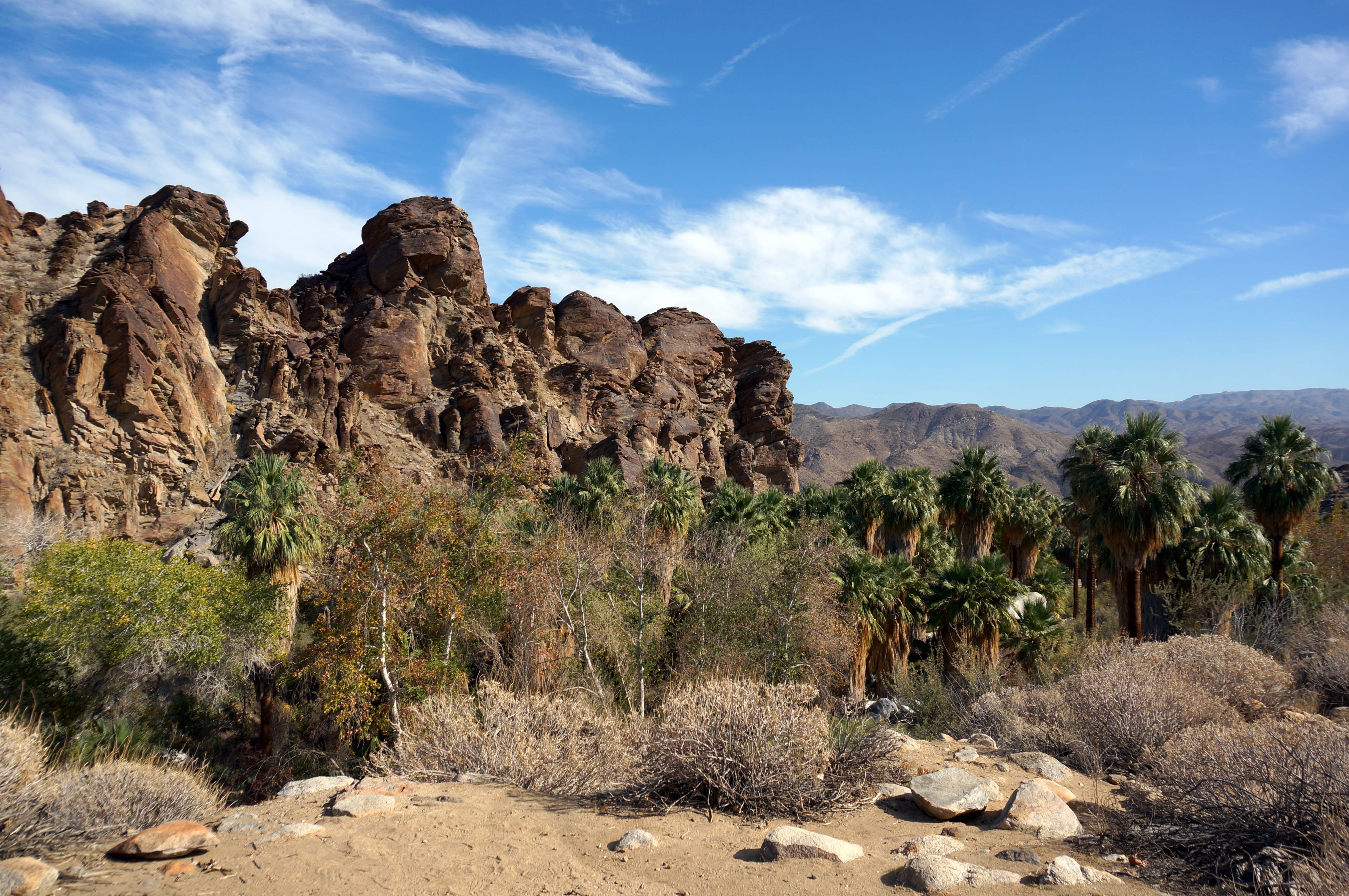 Family Friendly Hiking in Palm Springs at Indian Canyons – No Back Home